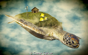 "Turtle Farm" part of my Underwater Surrealism body of wo... by Conor Culver 
